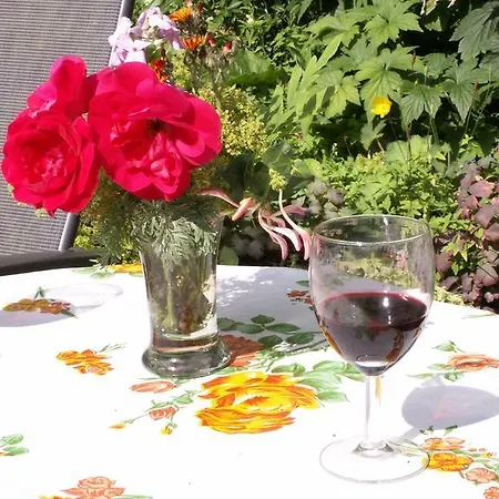 Guest house Achter De Sterren *