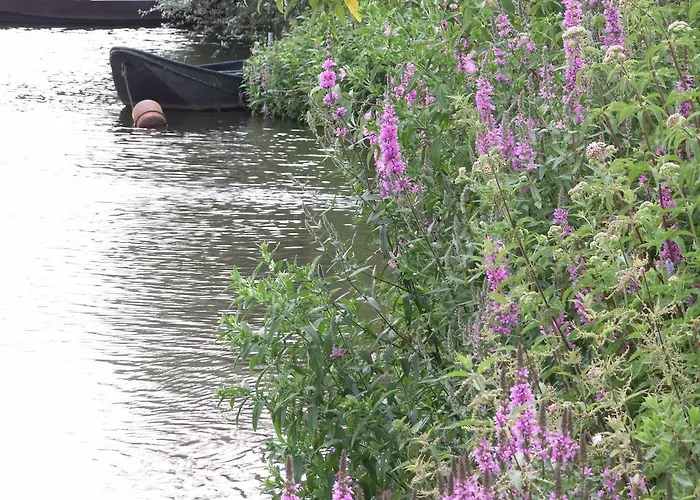 Maison d'hôtes Achter De Sterren 4*